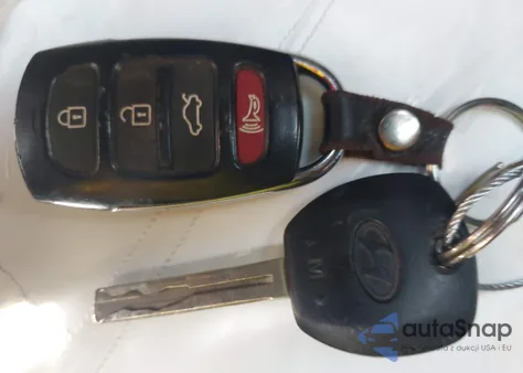 2009 Hyundai Azera Limited из США, поврежденный, VIN KMHFC46F19A344282